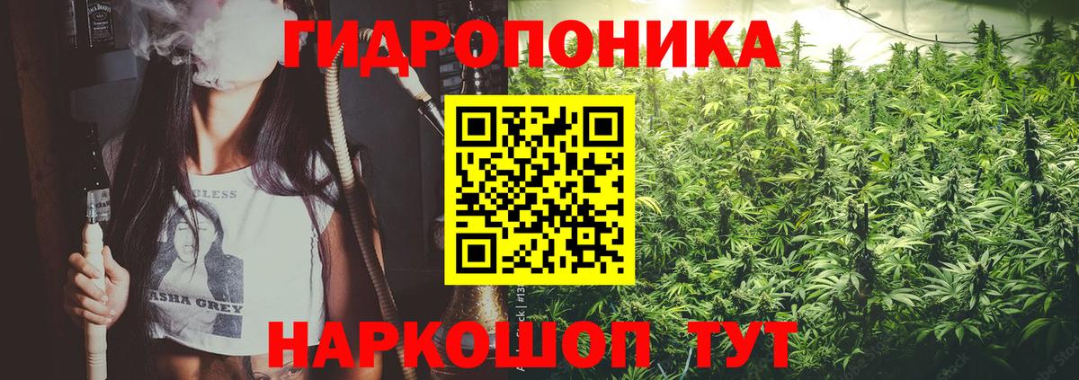 Марихуана планчик  Конопля Amnesia  Вход с VPN  Каменка  Шишки марихуана White Widow  Марихуана Ganja 